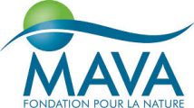 MAVA fondation